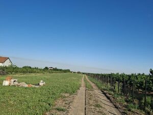 I am selling a plot in Bečmen-Belgrade