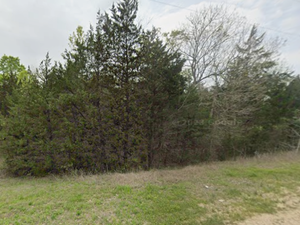 Buildable 0.24-Acre Lot in Coldspring, TX