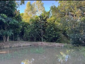 2,000m² Food Forest with Spring, 2 Ponds & 80+ Fruit Trees
