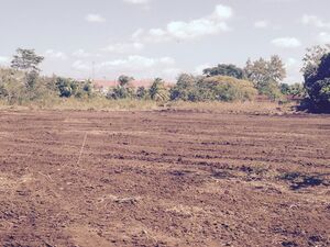 7-Hectare Residential Site in Arraiján, Panamà