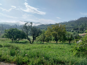 Amazing countryhouse for sale in Tojeira, Portugal