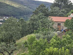 Quinta com casa rural geminada, Teixoso, Covilhã