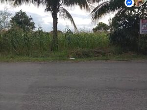 Commercial lot in Tagum City 