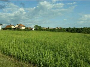 Land for sale in Sremcica-Belgrade
