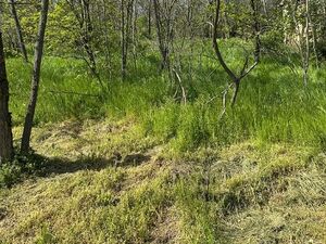 Plot for sale at the foot of Vrsacki breg