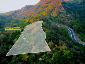 1.5 Hectares at an Unbeatable Price