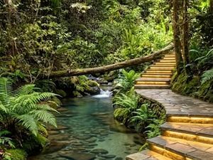 Property with a trail, swimming pool, and preservation area.