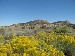 Unbelievable bargain! 1 acre New Mexico for only $50 a month