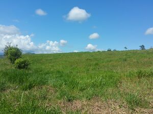 Titled 600 m² Lot near Tarapoto, Peru - Mountain Views