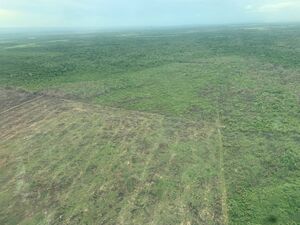 Some Of The Best Fertile Land 
