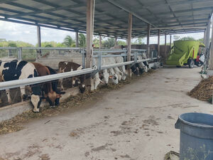 Productive Farm for livestock or agriculture