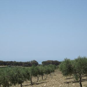 Land in Sicily - Borgo Bonsignore