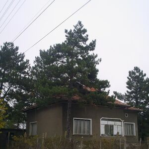 Nice and solid country house with garage and summer kitchen