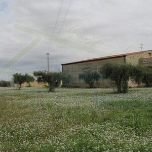 Seaside Villa and land in Sicily - Costa Seccagrande