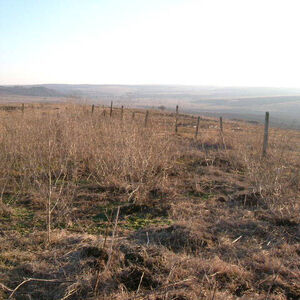 Nice plot of land situated in a quiet village 30 km from sea
