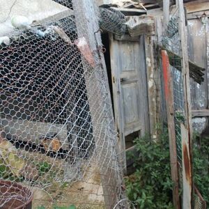 Barn and land in Sicily - Barn Bavuso Via Blanchina