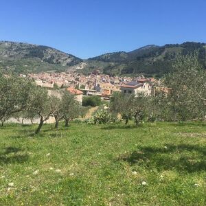 Land In Sicily - Terreno Pizzuto Santo Stefano