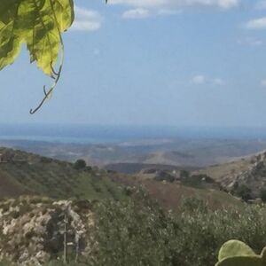 House and land in Sicily - Leo Cda Savarini