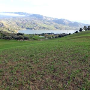 sh 603 land plot, Caccamo