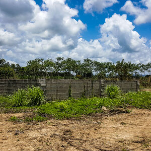 8 Acres Farm Hope Creek Stann Creek Valley Belize