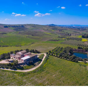 House and land in Sicily - Attillio Valderice