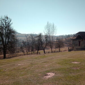 COUNTRY HOUSE & LAND (16602 m2)