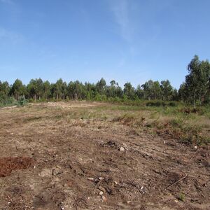 Land for construction in Vila Chã / Esposende (2810)