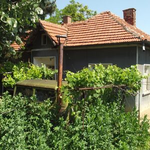 Rural house with annex, buildings and land in quiet village 