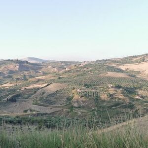 House and land in Sicily - Casa Tammuzzo Cda Petraro