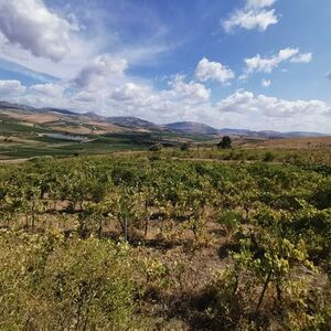 Panoramic land in Sicily - Cda Aquila S.Margherita Belice