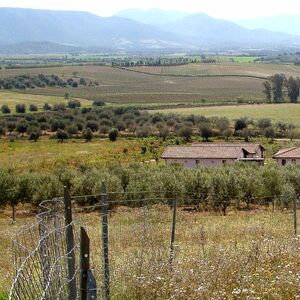 Estate Arrideli perfect for cohousing