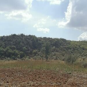 37,500acres of land with mineral deposits in Kwale, Kenya