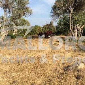 Rustic Building Plot  CAPDEPERA (NORTHEAST MALLORCA)