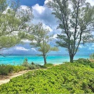 Double lots Green Turtle Cay Bahamas