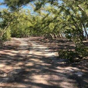 5,200 Sq ft Beachfront lot North Andros Bahamas