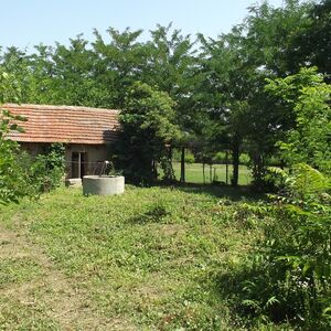 Partially renovated country house with annex, garage and vas