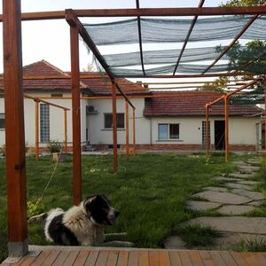 Renovated property in Pavel village is situated in the Danub