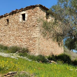 Amazing plot and house in Greece