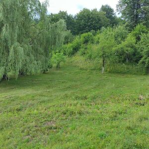  Development land 1070m2 + 5260m2 Mountain meadow land in th