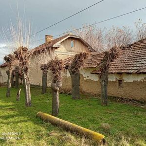 Bulgaria Property Finder (Bulgarian Ovcha mogila village Svi