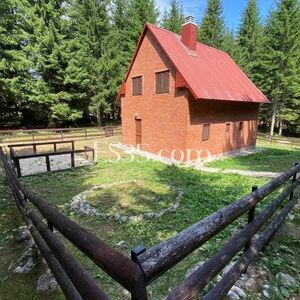 Good house in beautiful nature place in Zabljak