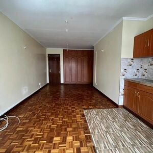 Modern beautifully done clean bedsitter to let at at Ngara