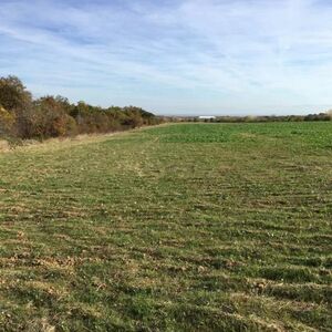 Agricultural land in Plovdiv region with a total of 19600m2 