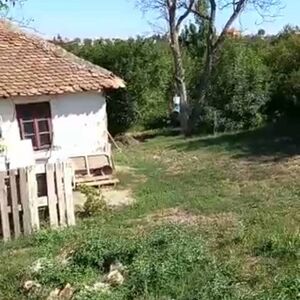 I am selling a plot in Ripanj-Belgrade, Serbia