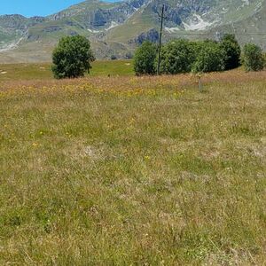 Land for sale Zabljak, Montenegro