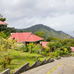 Cottages For Sale At Gommier, Stewart Estate