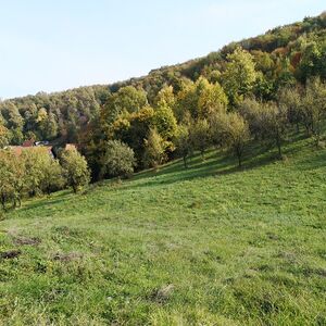 Land for sale in Banja Koviljaca, Serbia
