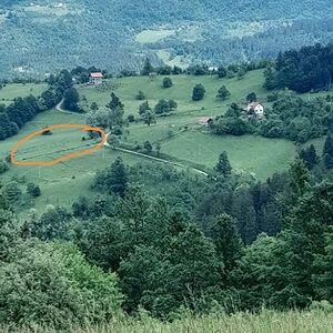 Sale of land in the mountains of Tara, Serbia