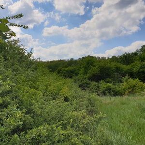 Huge plot of land only 200 m. from Topolovec River, at a ver