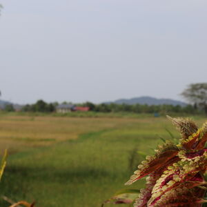 Bambu Getaway Retreat Center & Homestay (near Thailand)